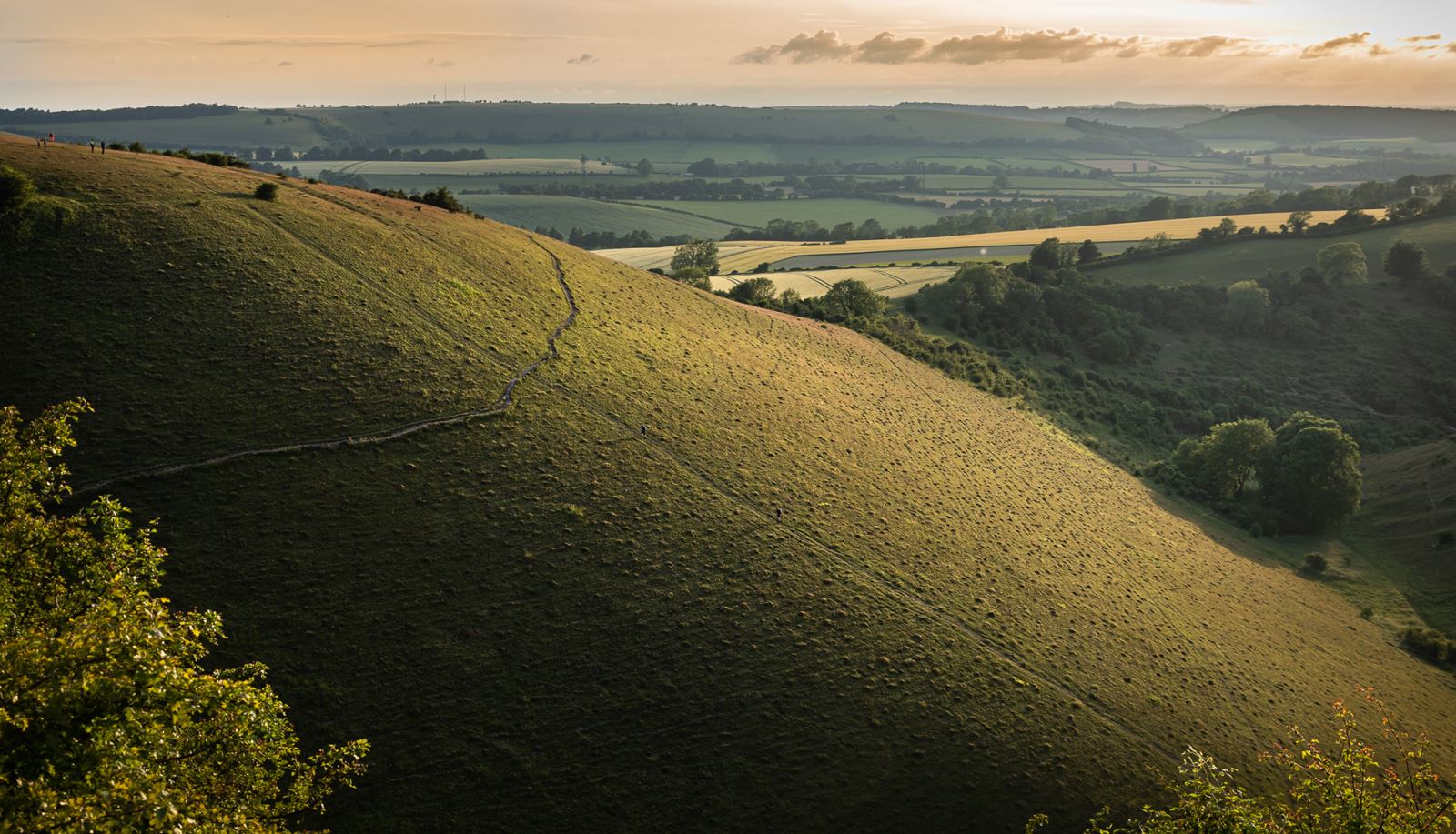 Butser Hill in the South Downs National Park